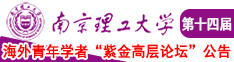 操逼真爽视频南京理工大学第十四届海外青年学者紫金论坛诚邀海内外英才！